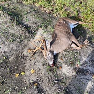 Meet your Posher, Rodrick